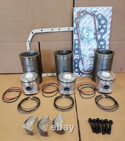 Inframe Engine Overhaul Kit For John Deere 3.164d 1020 1120 1130 1520 302 Early