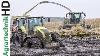 Mudslinging Chopping Maize In The Mud Claas Jaguar John Deere Trators